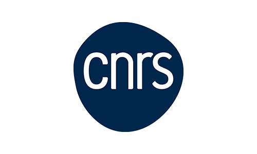 CNRS is an official partner of the VISUAL project