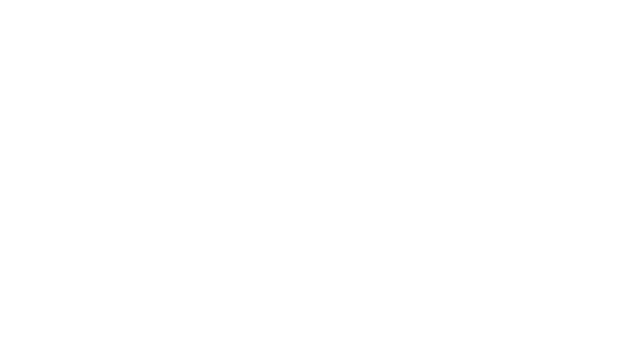 VISUAL project logo white